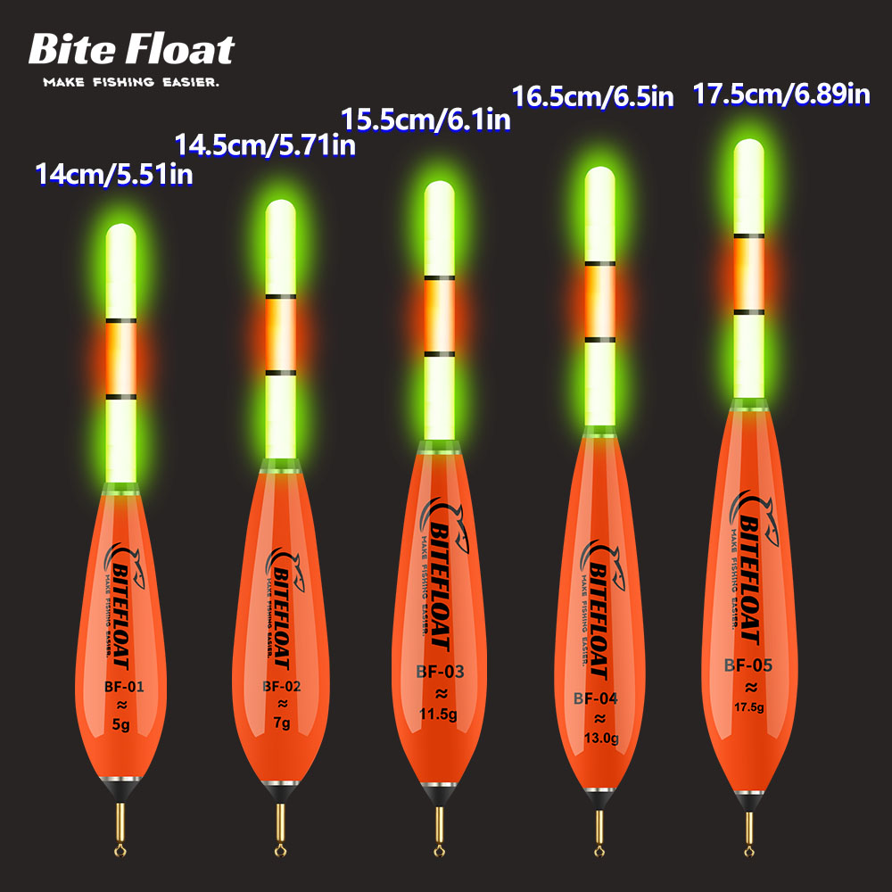 Bite Float Electronic Float 5p - đánh giá và giá Fishing Equipment And Gear
